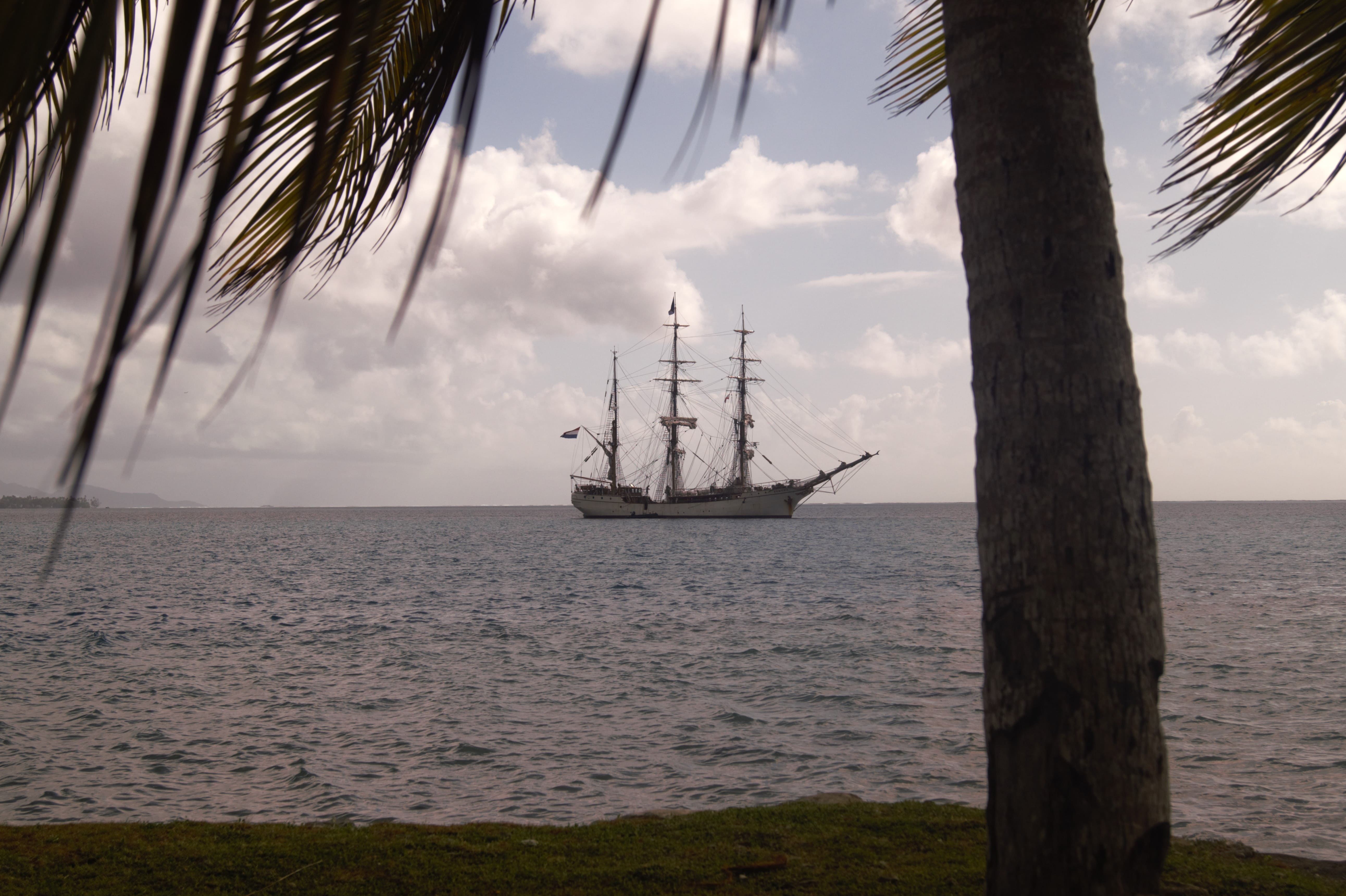 Bark EUROPA at anchor in the Cook Islands, framed by palm trees